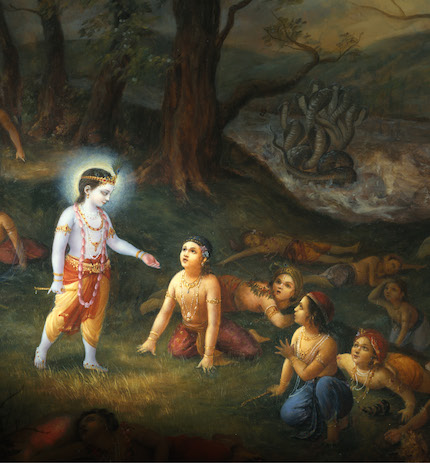 Learn the Philosophy